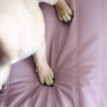 Load image into Gallery viewer, Lambwolf Collective - MAATIN // Dog Bed - Small | Plum
