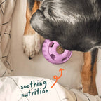 Woof - Calming Wellness Pops: Extra Large