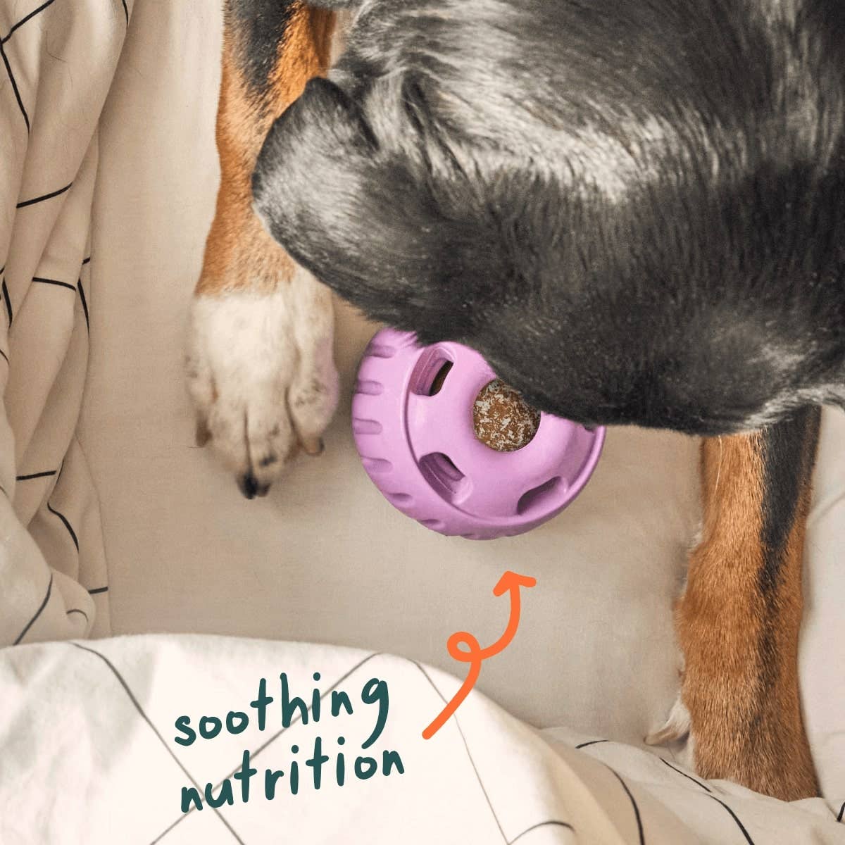 Woof - Calming Wellness Pops: Small