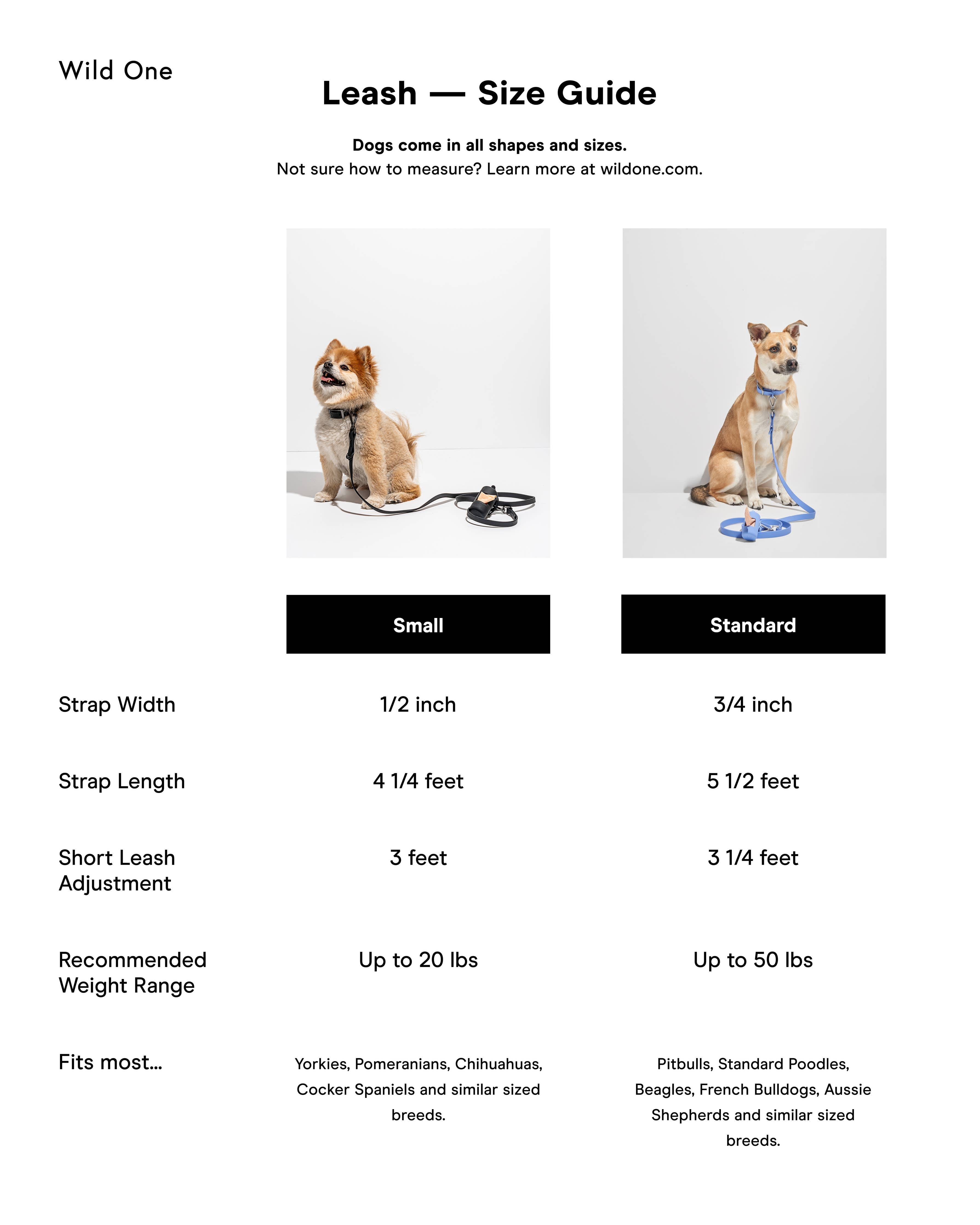 Wild One - Adjustable Waterproof Dog Leash: SMALL / Black