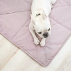 Lambwolf Collective - ORII | Ultralight Pet Travel Mat - Small | Plum
