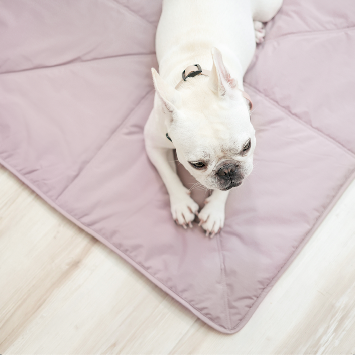 Lambwolf Collective - ORII | Ultralight Pet Travel Mat - Small | Plum