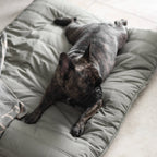 Lambwolf Collective - MAATIN // Dog Bed - Small | Fern