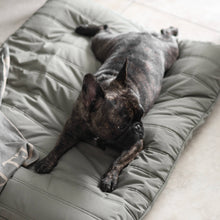 Load image into Gallery viewer, Lambwolf Collective - MAATIN // Dog Bed - Small | Plum
