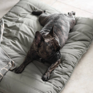 Lambwolf Collective - MAATIN // Dog Bed - Medium | Koala