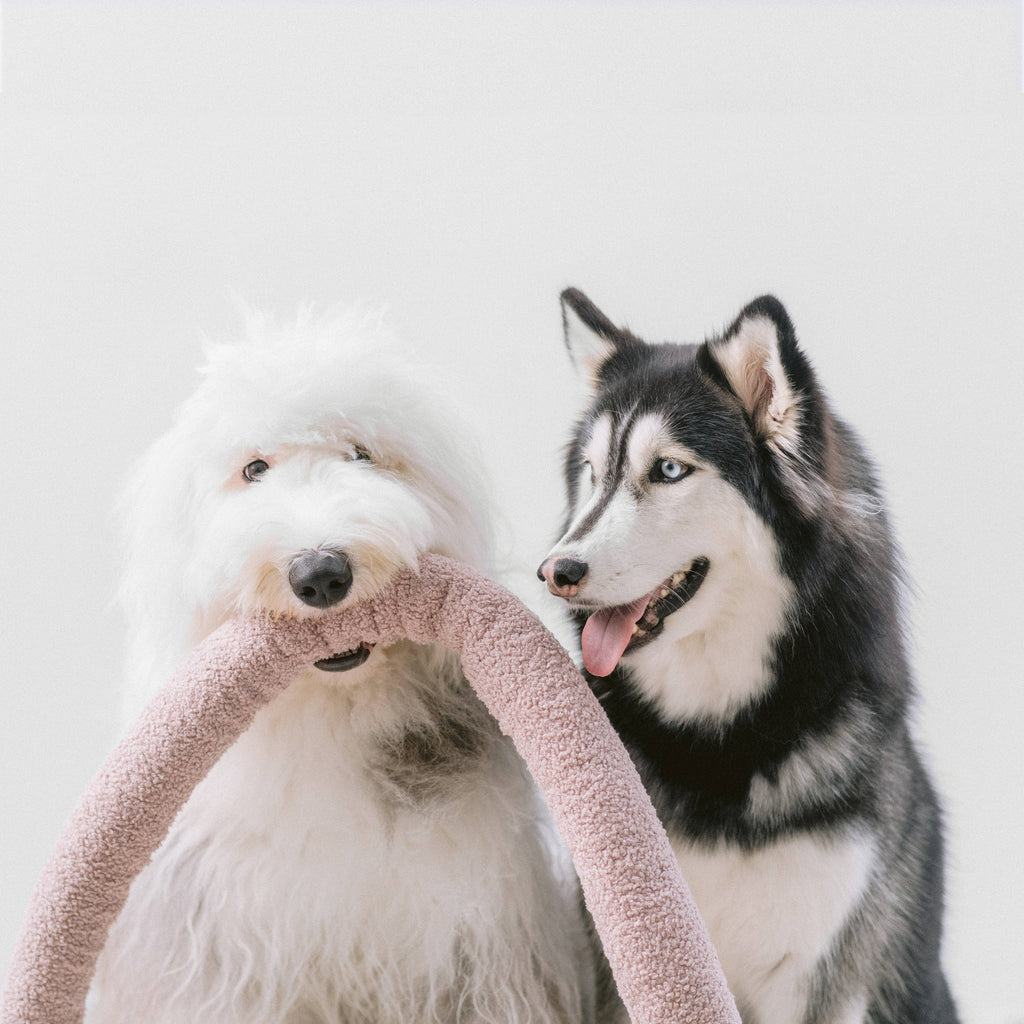 Lambwolf Collective - O NOU |  Oversized // Enrichment Dog Toy - Mauve