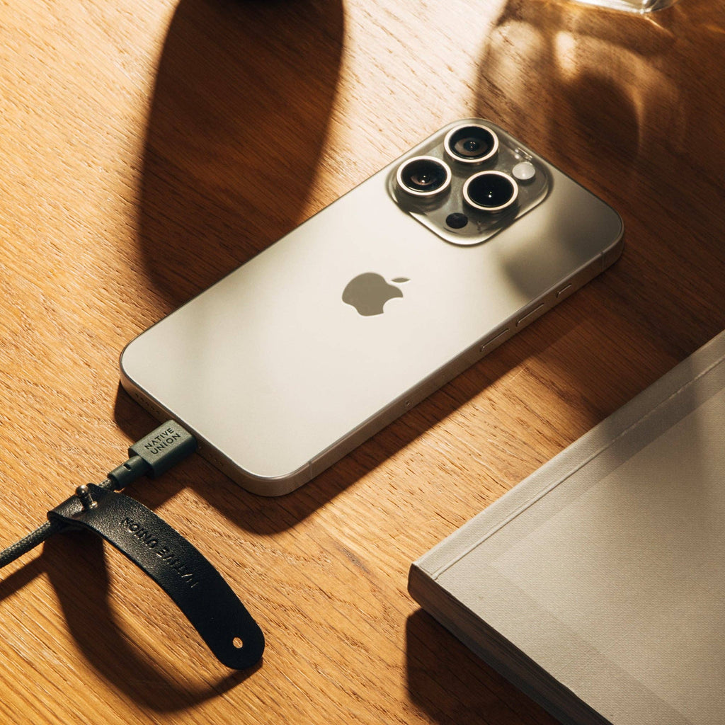 Native Union Paris - Belt Cable (USB-C to USB-C): Slate Green