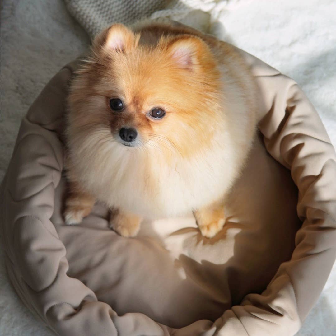 Lambwolf Collective - TAART // Dog Bed - Camel