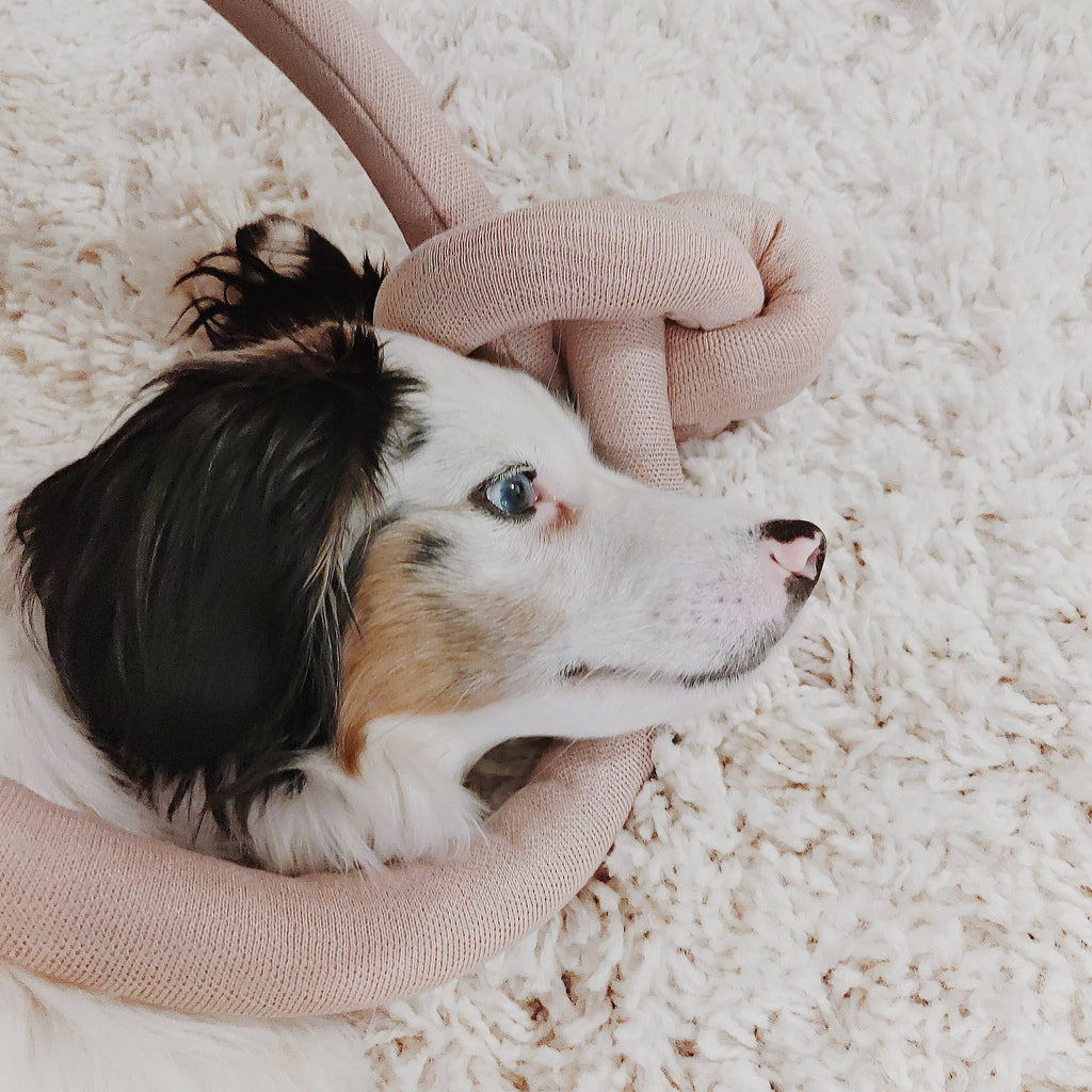 Lambwolf Collective - NOUNOU | Dogwood Flower with Squeakers // Enrichment Dog Toy