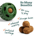 Woof - Hip & Joint Wellness Pops: Large