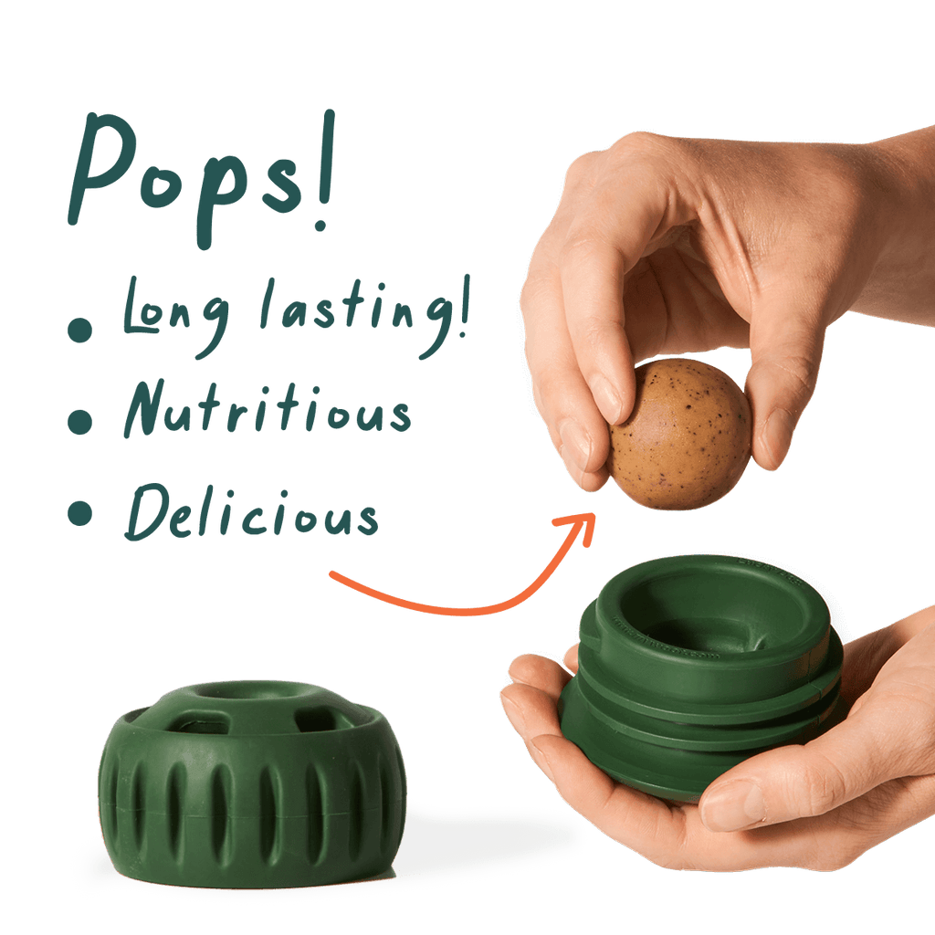 Woof - Pupsicle Pops: Chicken / Small
