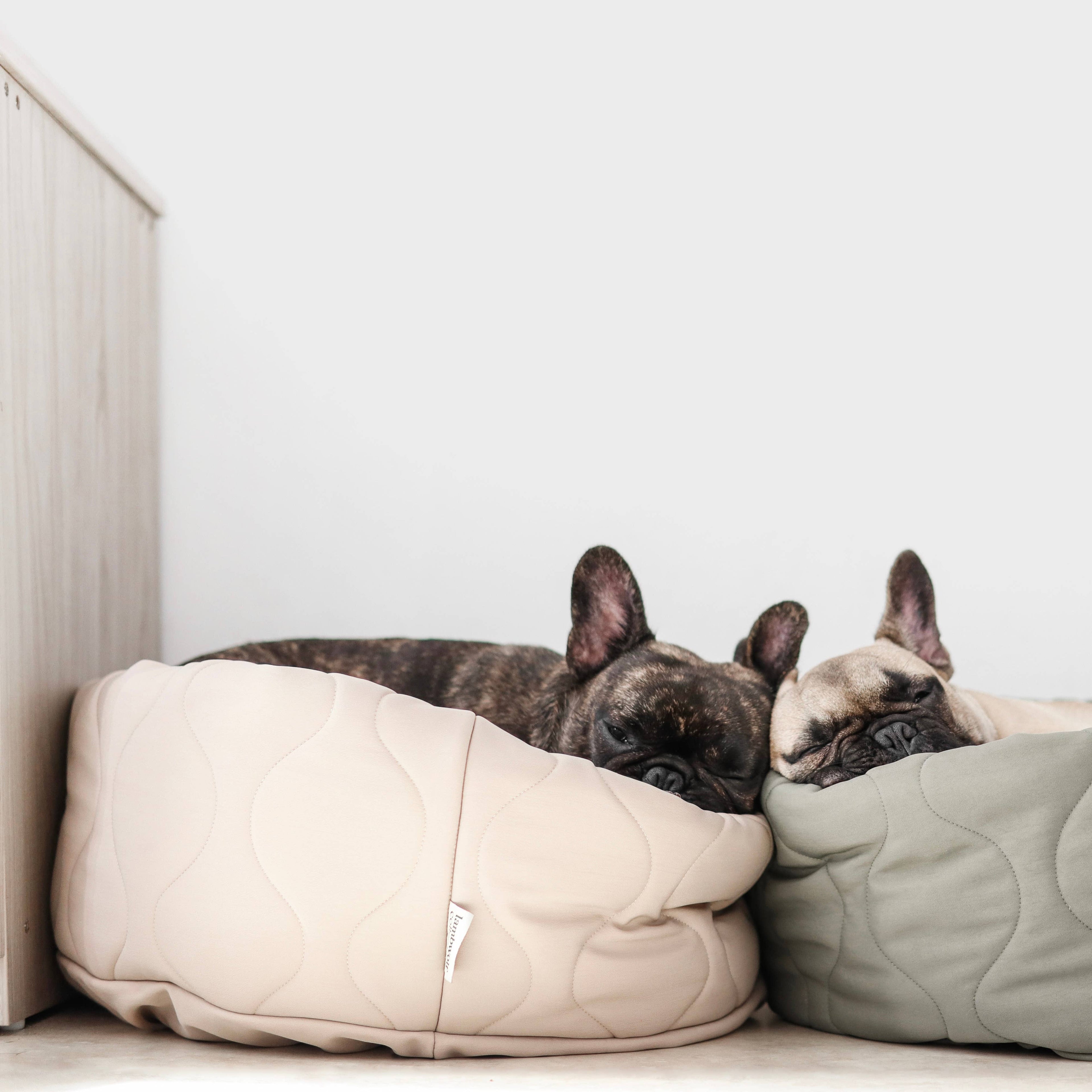 Lambwolf Collective - TAART // Dog Bed - Camel