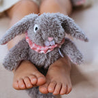 And the Little Dog Laughed Eloise Rabbit - Mini