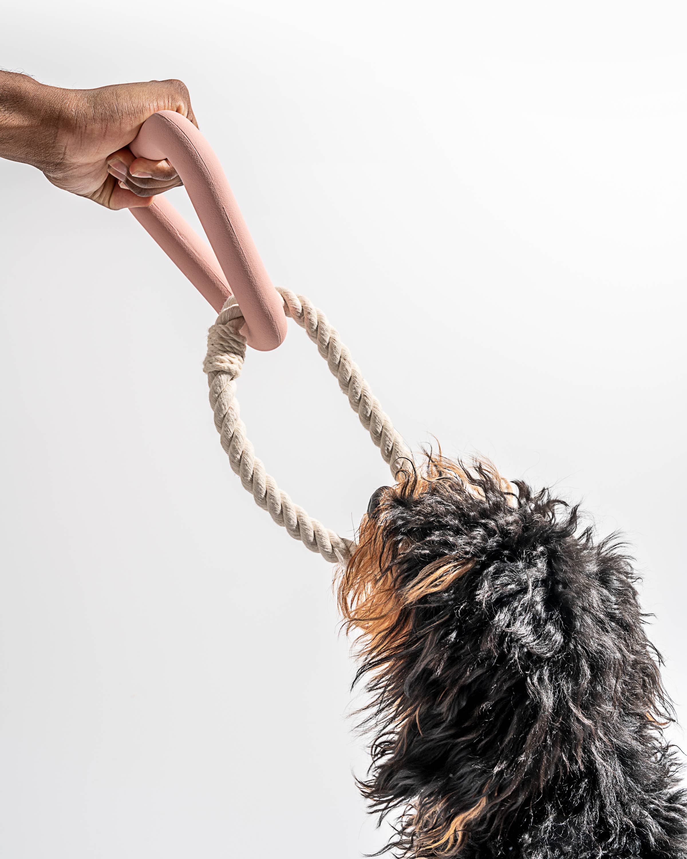 Wild One - Triangle Tug Dog Chew Toy: Lilac / STANDARD