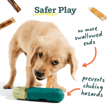 Load image into Gallery viewer, Woof - The BullySafe
