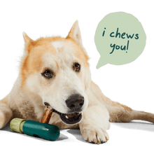 Load image into Gallery viewer, Woof - BullySafe Chews - Pure Collagen: Beef | 6-inch Five Pack
