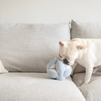 Lambwolf Collective - MONTI // Enrichment Dog Toy -  Oat