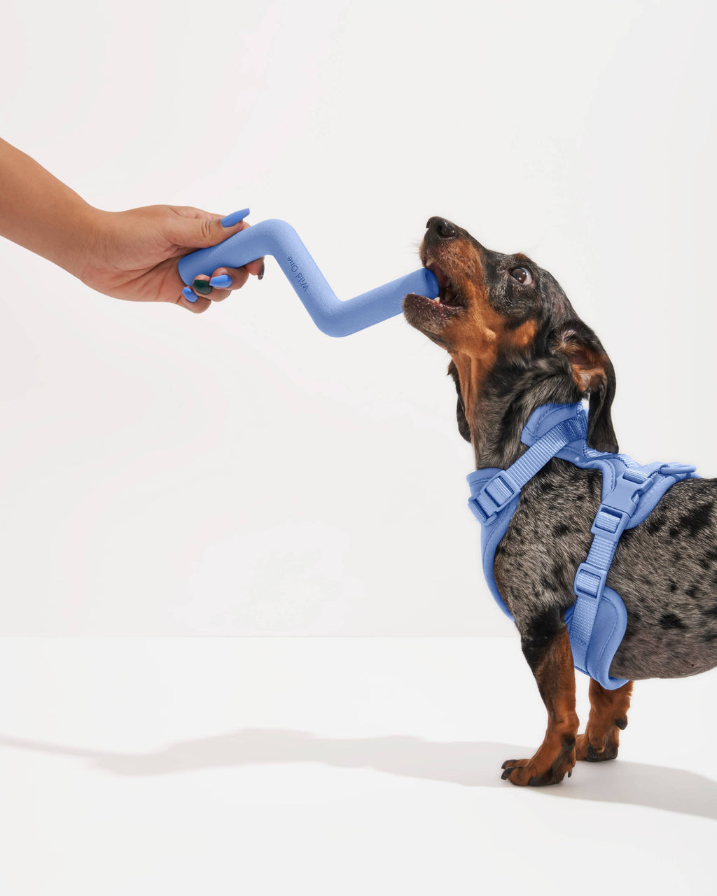 Wild One Bolt Bite Dog Chew Toy - Standard | Moonstone
