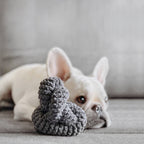 Lambwolf Collective - NOUNOUNOU | Corduroy // Enrichment Dog Toy - Slate