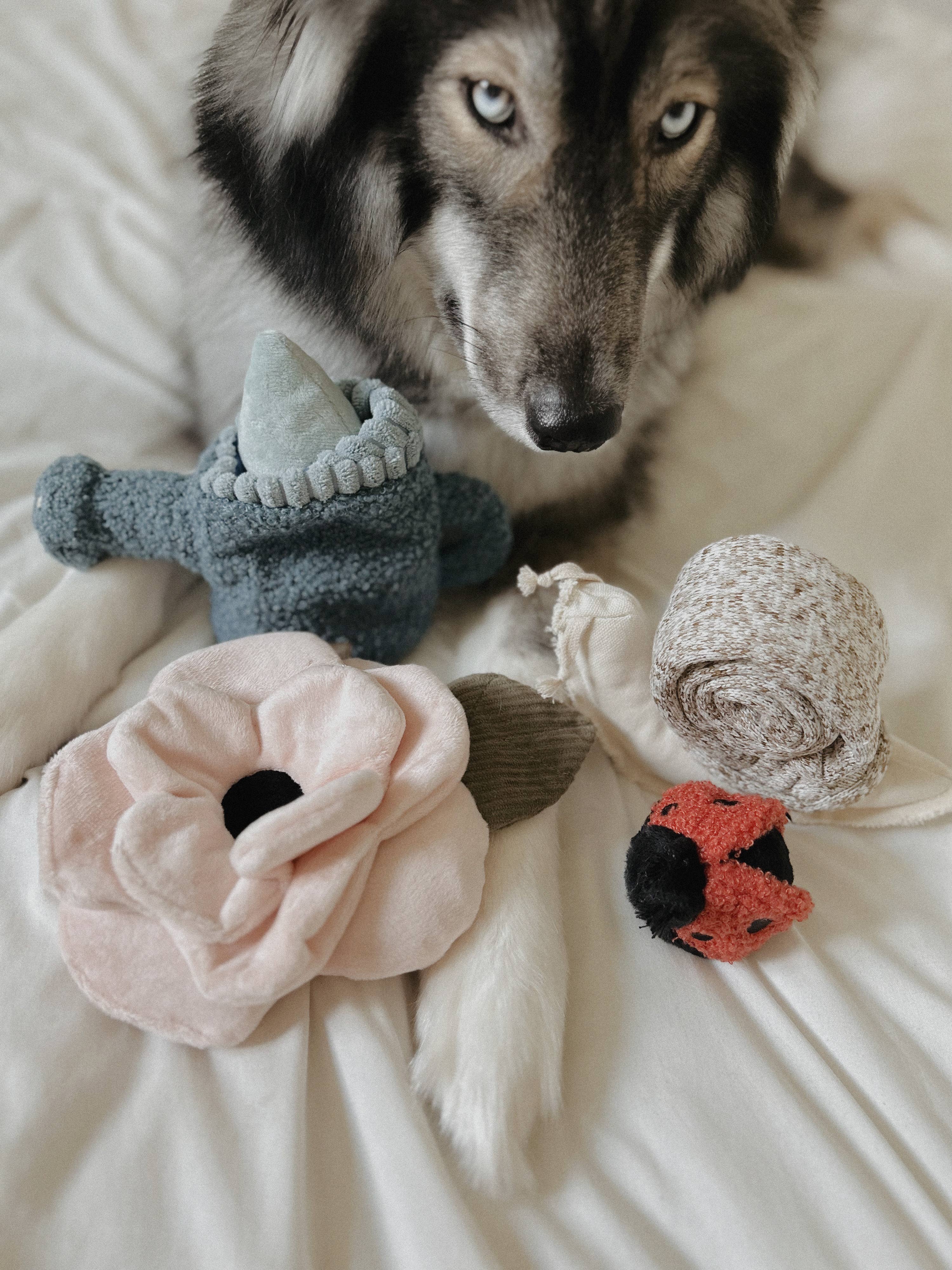 Lambwolf Collective -  Poppy // Enrichment Dog Toy - Small