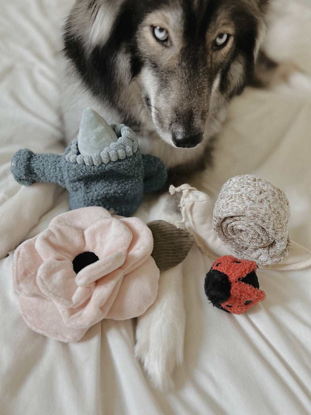 Lambwolf Collective -  Poppy // Enrichment Dog Toy - Large