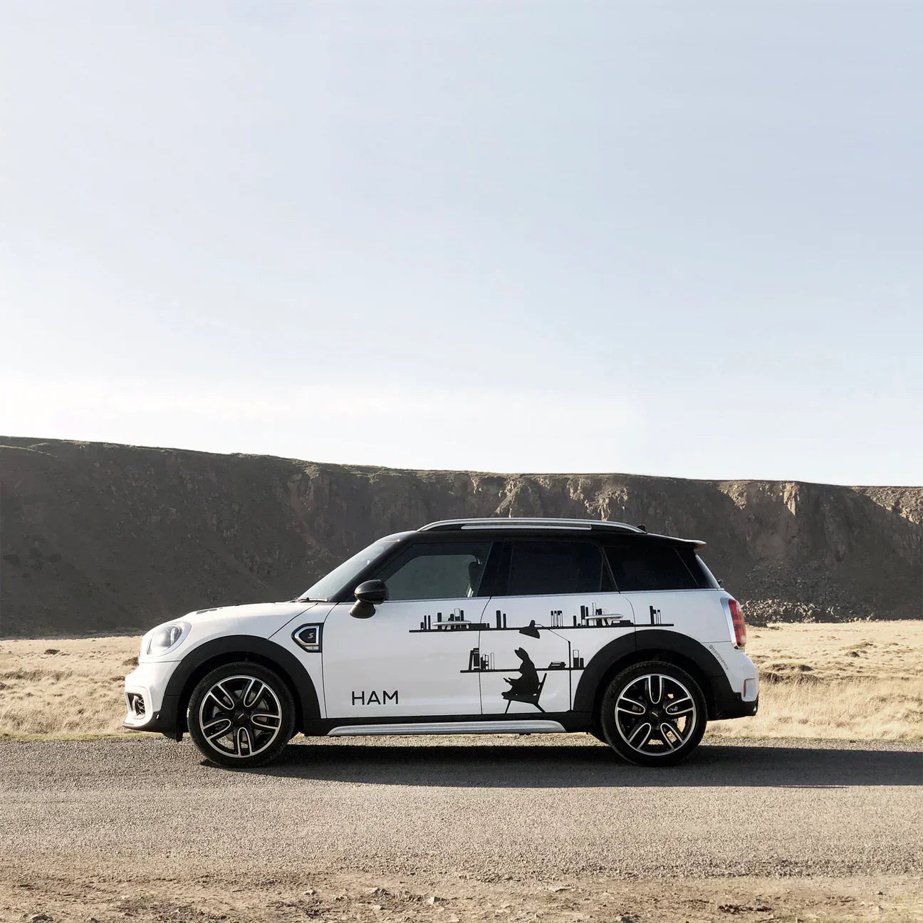 HAM Fine Art Hand-Pulled Screen Print - Topiary Rabbit