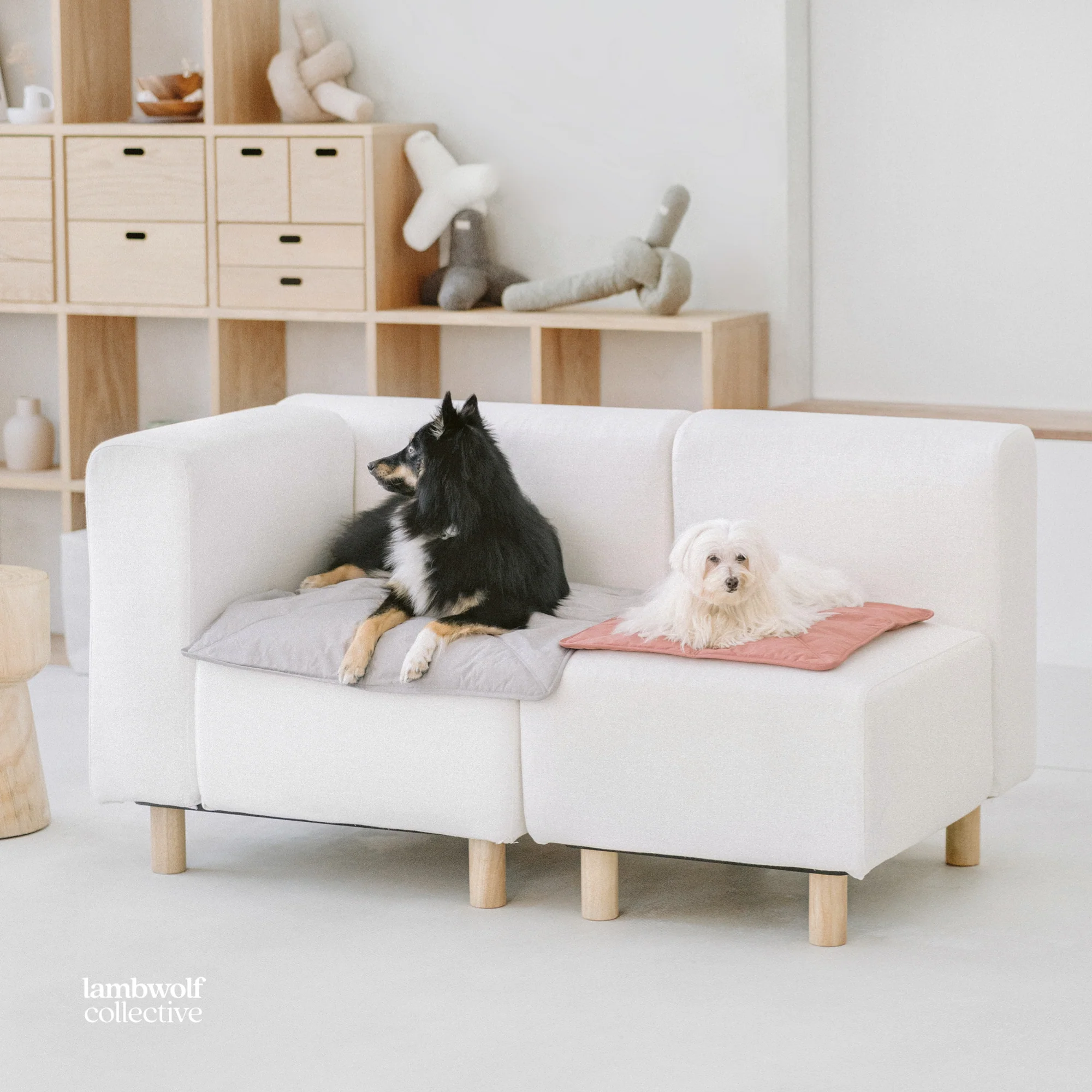 Lambwolf Collective - ORII | Ultralight Pet Travel Mat - Large | Koala