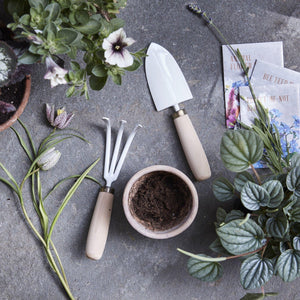 The Floral Society Japanese Garden Tool Set