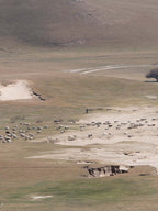 Oats & Rice Cashmere Crochet Gloves | Cream