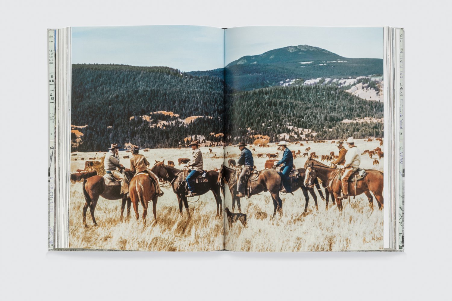 Pointed Leaf Press Book - Jorie: The Extraordinary Life of Jorie Butler Kent