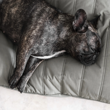 Load image into Gallery viewer, Lambwolf Collective - MAATIN // Dog Bed - Medium | Koala
