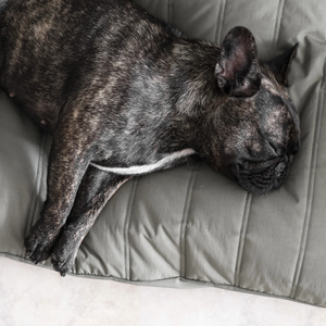 Lambwolf Collective - MAATIN // Dog Bed - Medium | Koala