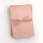 Wms & Co. Blush Jotters with Gilded edge (Set of Two)