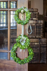 Preserved Boxwood Wreaths with Ivory Ribbon - Small
