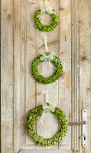 Load image into Gallery viewer, Preserved Boxwood Wreaths with Ivory Ribbon - Small
