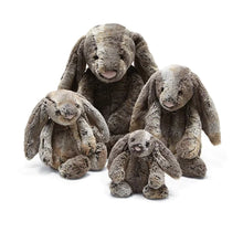 Load image into Gallery viewer, Jellycat Bashful Woodland Bunny - Huge
