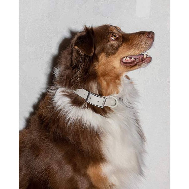 Wild One Collar - Gray