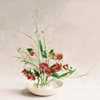 The Floral Society Ceramic Flower Frog Bowl Vase