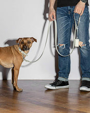 Load image into Gallery viewer, Wild One Poop Bag Carrier - Gray
