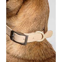 Wild One Collar - Tan