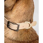 Wild One Collar - Tan