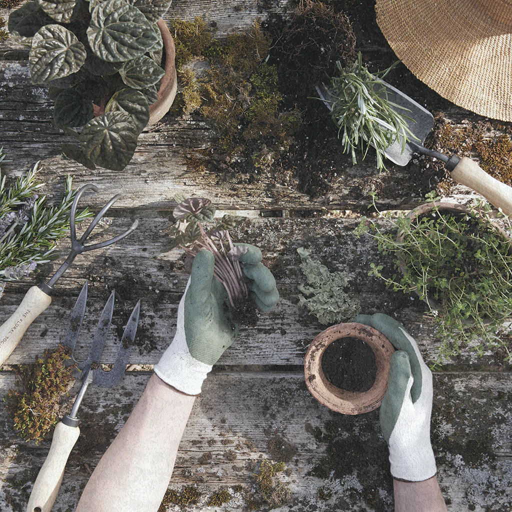The Floral Society Cape Cod Weeder