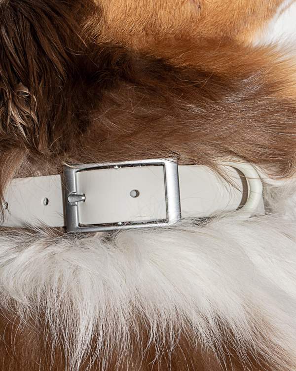 Wild One Collar - Gray