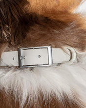 Load image into Gallery viewer, Wild One Collar - Gray
