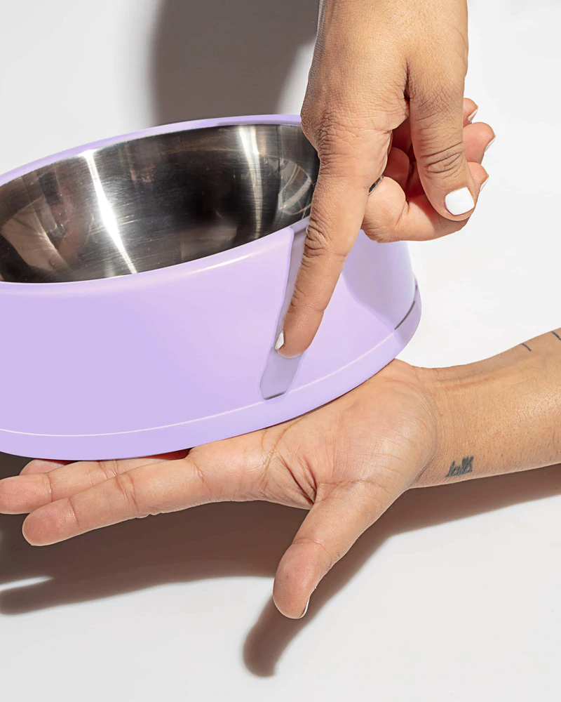 Wild One Dog Bowl - Lilac
