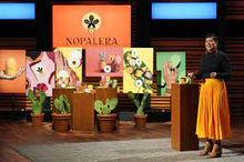 Load image into Gallery viewer, Nopalera Cactus Flower Moisturizing Botanical Bar - Nopal Oil + Tepezcohuite
