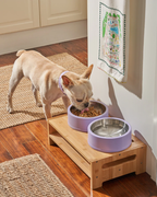 Wild One Dog Bowl - Lilac