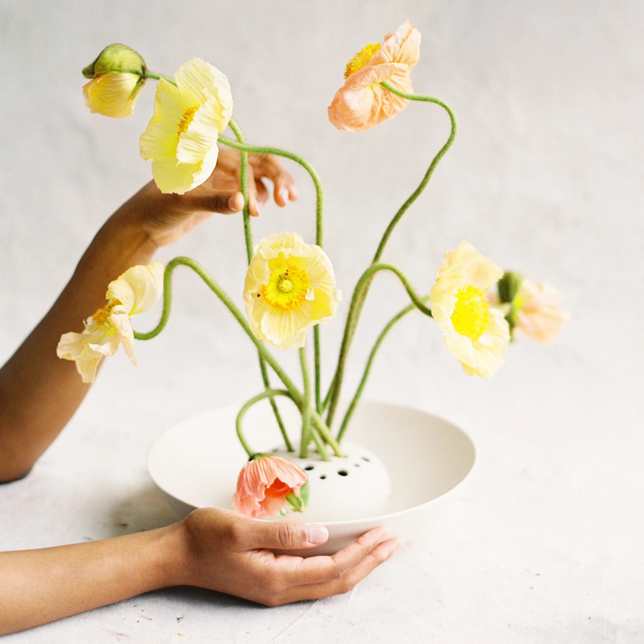 The Floral Society Ceramic Flower Frog Bowl Vase
